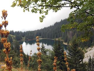 Le Lac Bénit