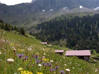 Randonnée à Véran